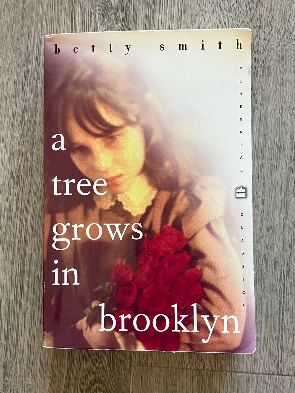 3/$15 A Tree Grows in Brooklyn by Betty Smith